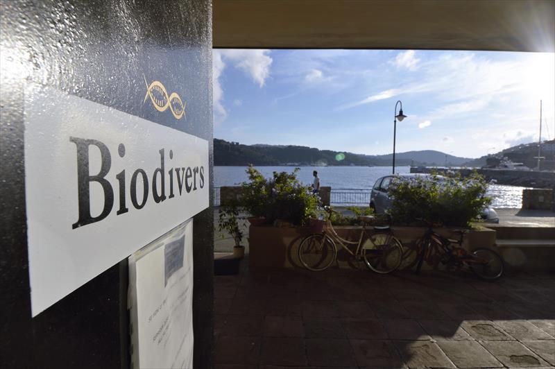 Foto Biodivers Elba Sea Academy - immagine 4