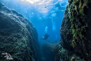 Foto Diving Center Punta Mesco - immagine 20