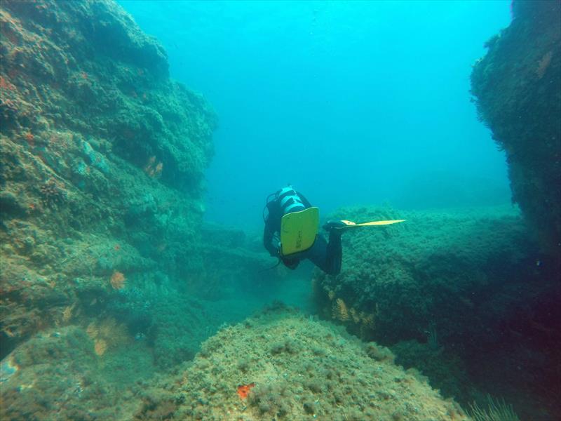 Foto Scarlino Diving Center - immagine 19