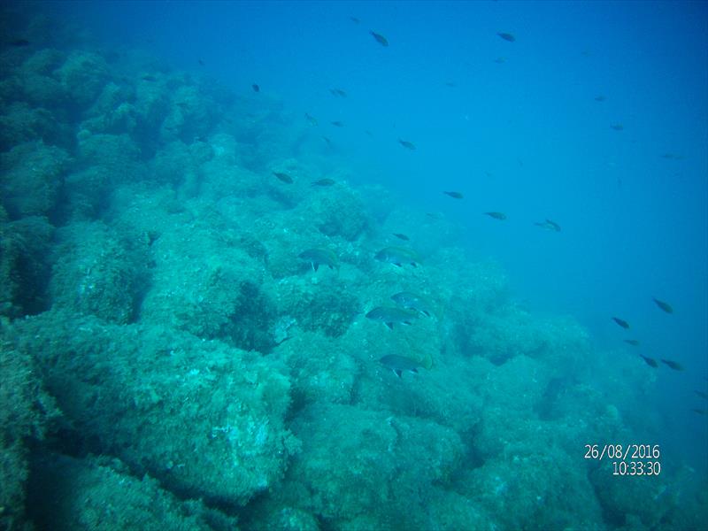 Foto Scarlino Diving Center - immagine 10