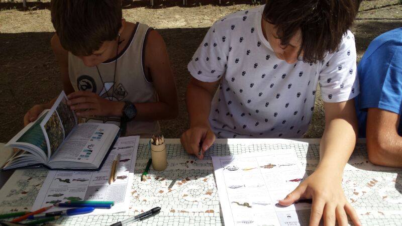 Foto Biodivers Elba Sea Academy - immagine 2