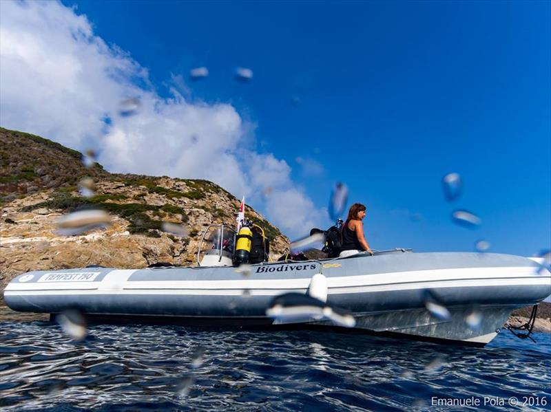 Foto Biodivers Elba Sea Academy - immagine 3