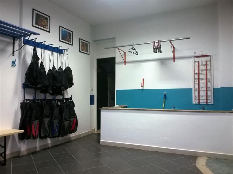 Foto Biodivers Elba Sea Academy - immagine 9