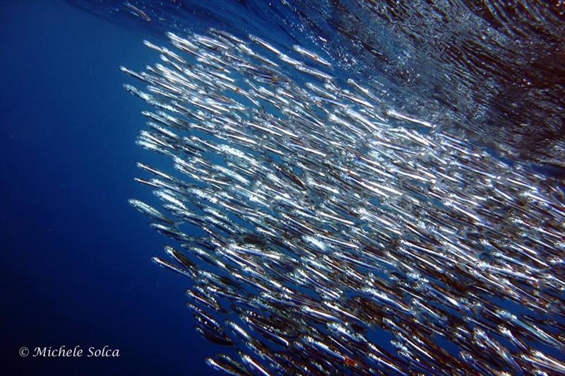 Foto Diving Evolution - immagine 5