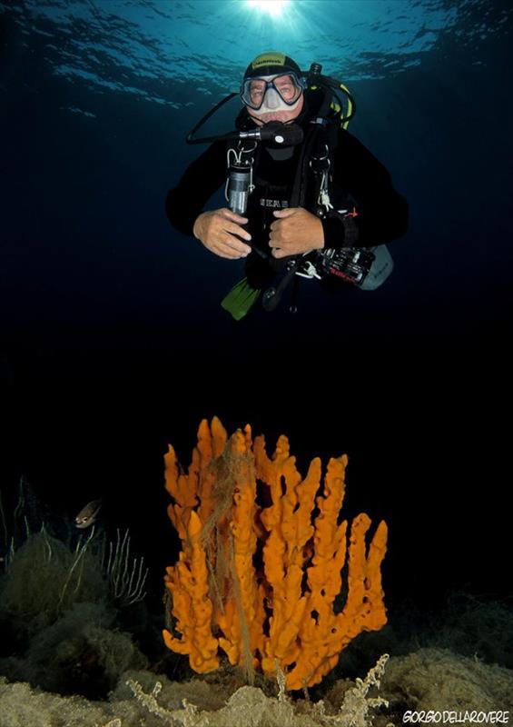 Foto Diving center Eurosub - immagine 3