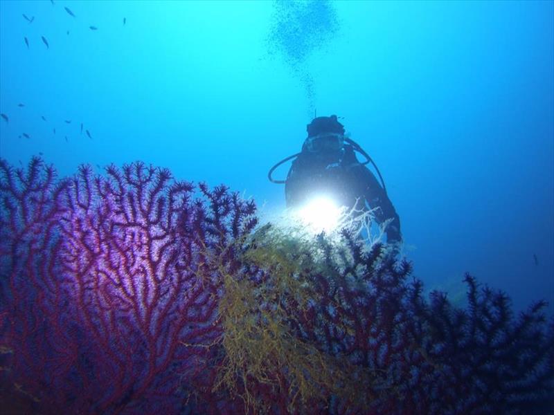 Foto Unica Diving Elba - immagine 1