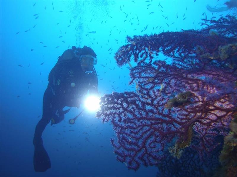 Foto Unica Diving Elba - immagine 12