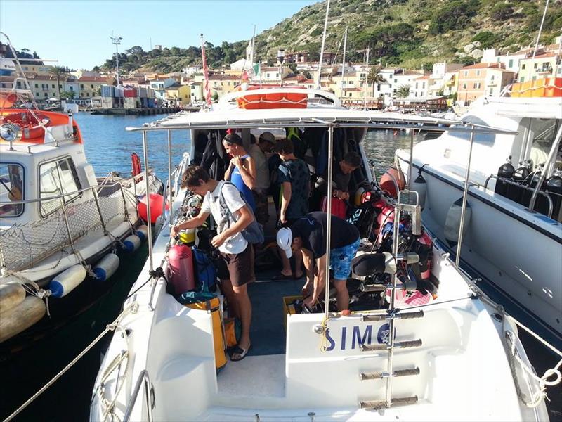 Foto Diving Isola del Giglio  - immagine 4