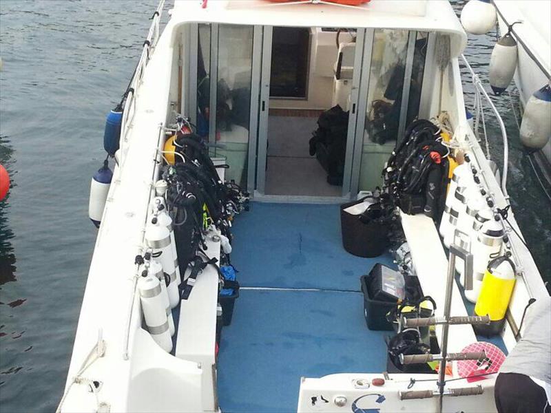 Foto Diving Isola del Giglio  - immagine 5