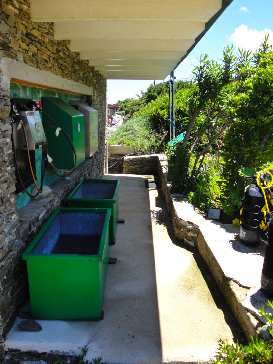 Foto Asinara Scuba Diving  - immagine 2