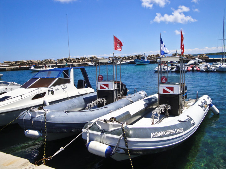 Foto Asinara Scuba Diving  - immagine 3