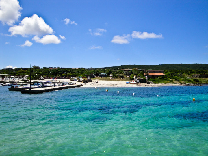 Foto Asinara Scuba Diving  - immagine 7