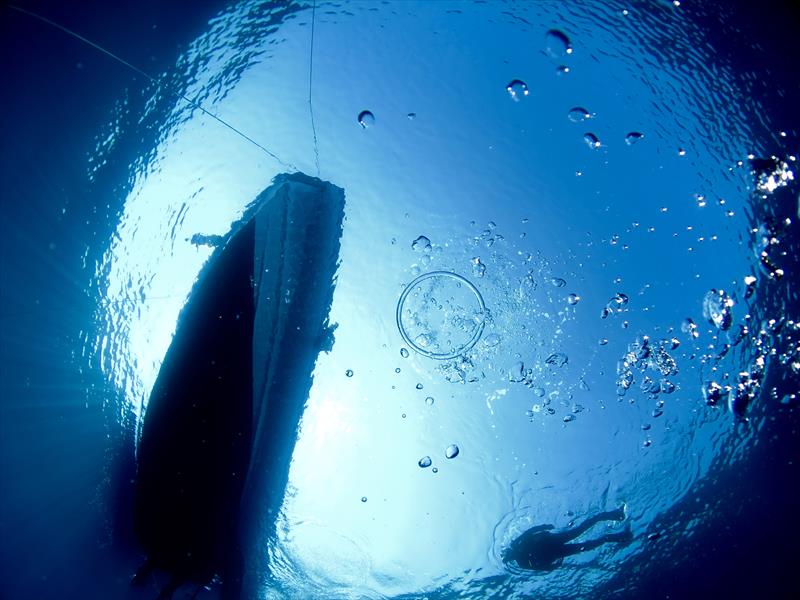 Foto Diving in Elba Procchio - immagine 8