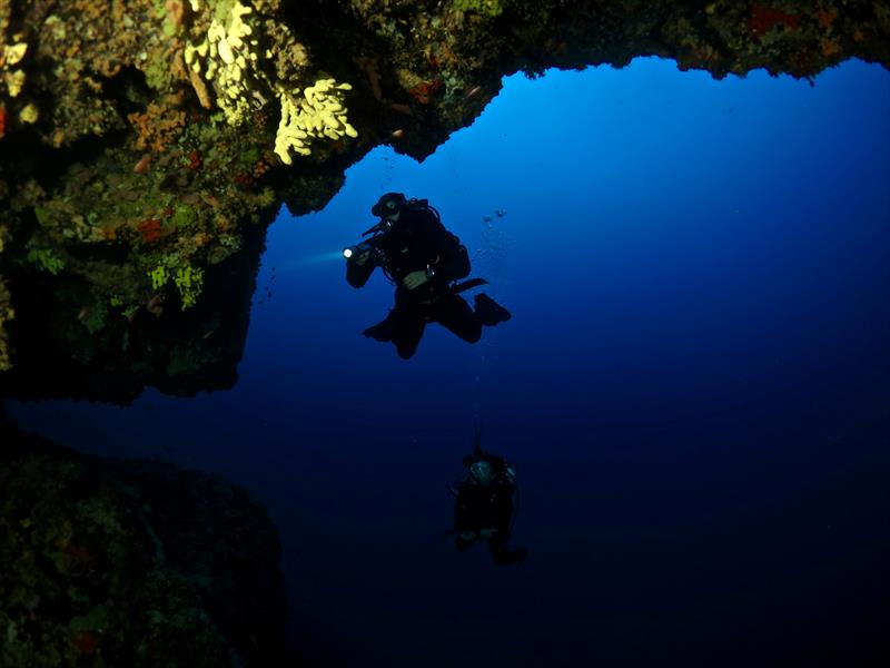 Foto Diving in Elba Procchio - immagine 10