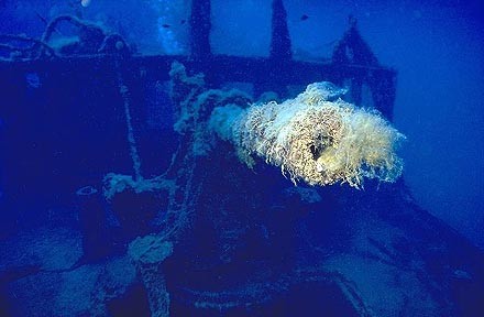 Foto Oasi Blu Diving Center - immagine 13