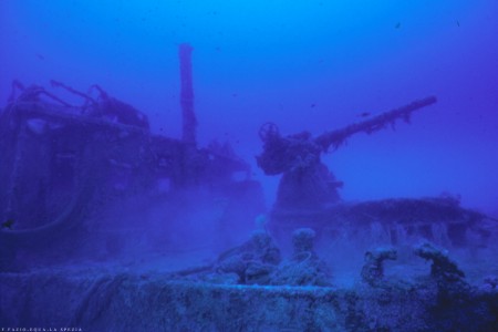 Foto Oasi Blu Diving Center - immagine 19