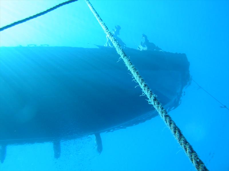 Foto Oasi Blu Diving Center - immagine 10
