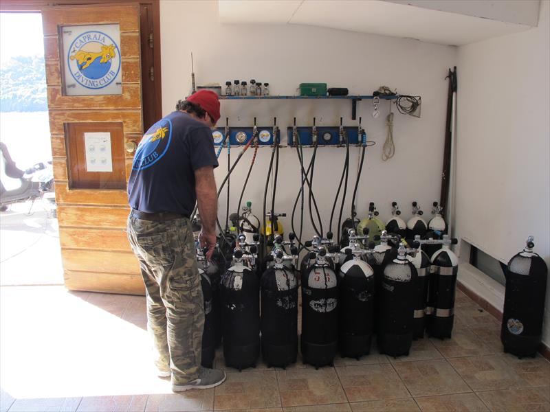 Foto Capraia Diving Service - immagine 4