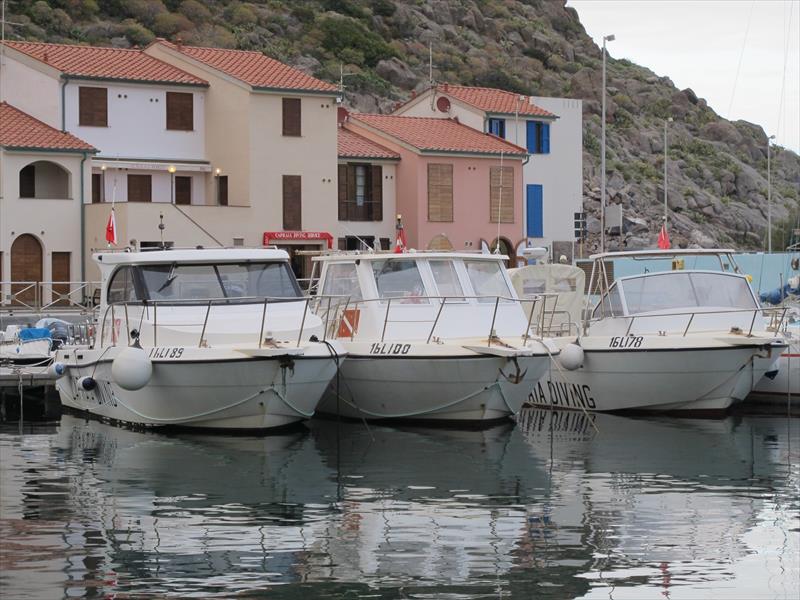 Foto Capraia Diving Service - immagine 2