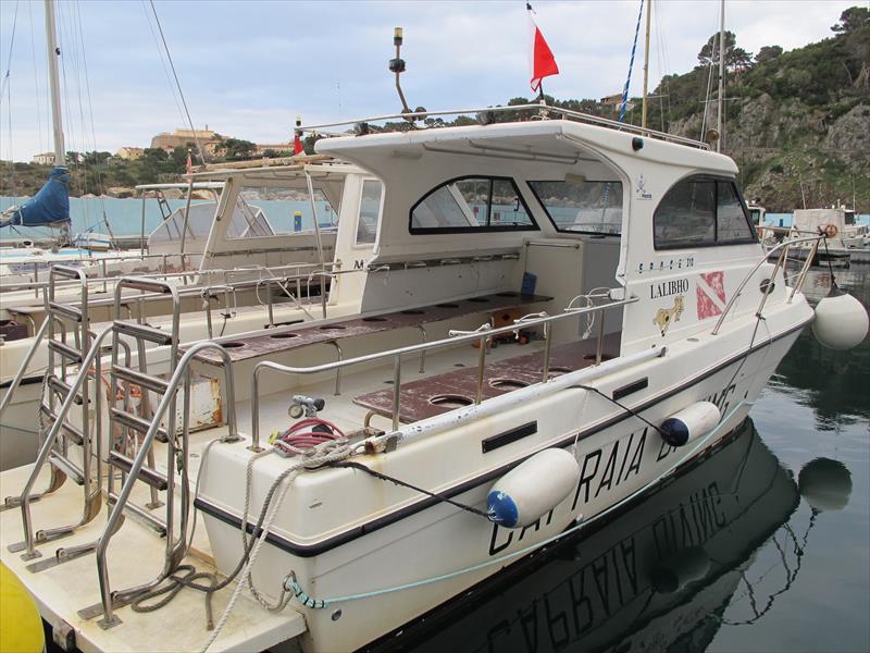 Foto Capraia Diving Service - immagine 3