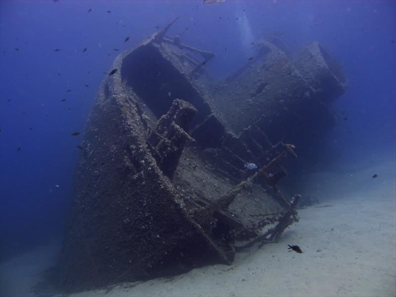 Foto Diving in Elba Procchio - immagine 13