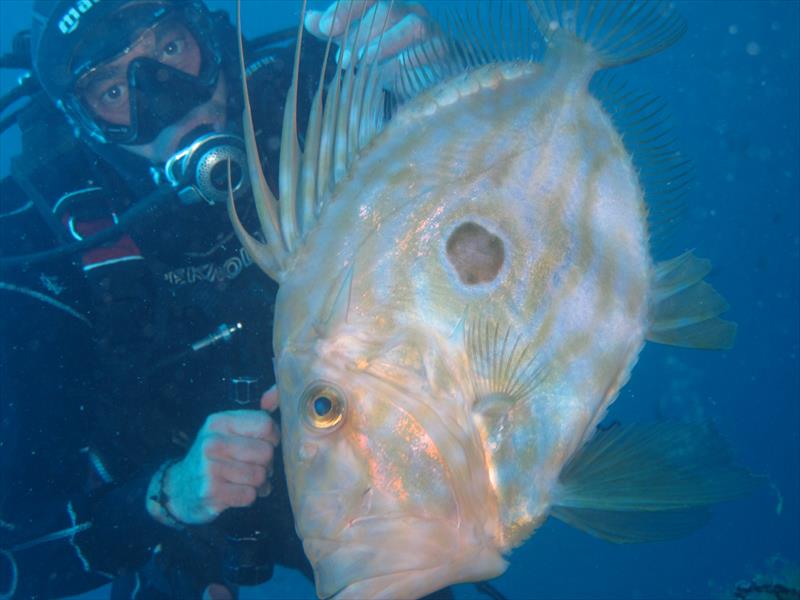 Foto Elbadivers - immagine 4