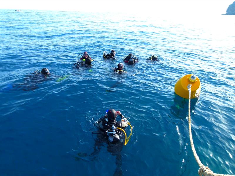 Foto Elbadivers - immagine 8