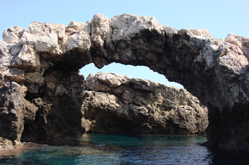 Foto Tremiti Diving Center - immagine 2