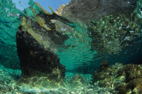 Foto Tremiti Diving Center - immagine 7