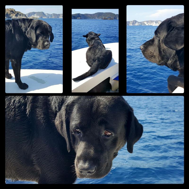Foto Ponza Diving Center - immagine 10