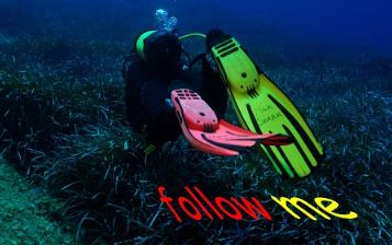Foto Max Shark Diving - immagine 3