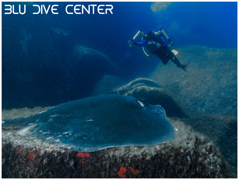 Foto Blu Dive Center - immagine 2