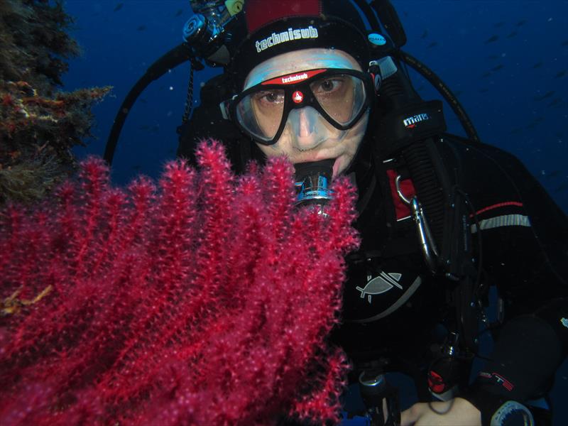 Foto International Diving - immagine 8