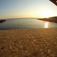 Foto Diving La Torre di Calafuria - immagine 1