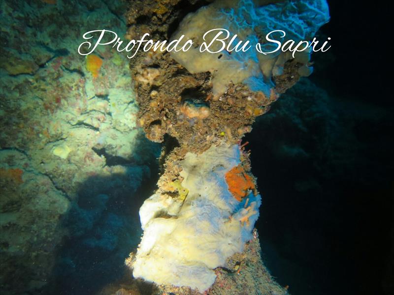 Foto Profondoblu Sapri - immagine 1