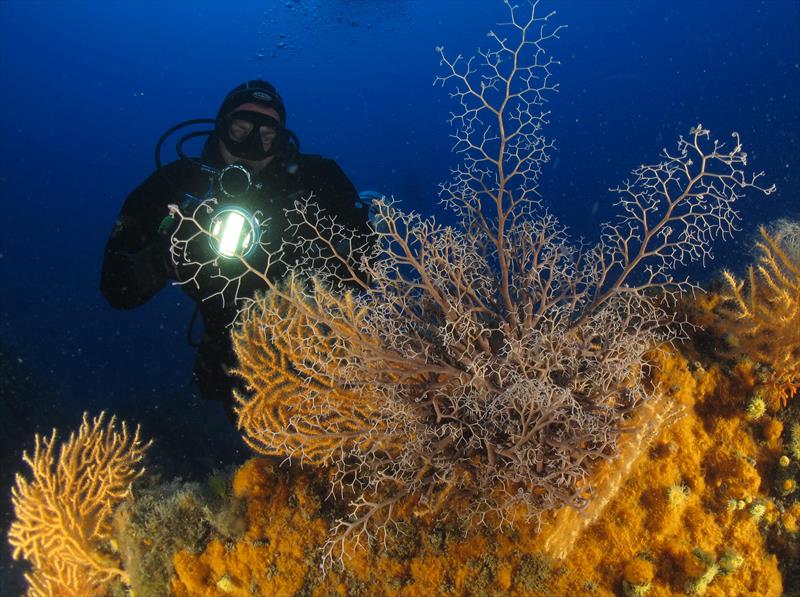 Foto Elba Diving Center - immagine 5