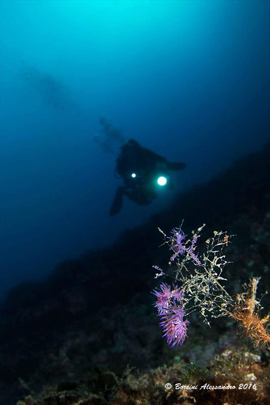Foto Lady Marea Diving Boat - immagine 3