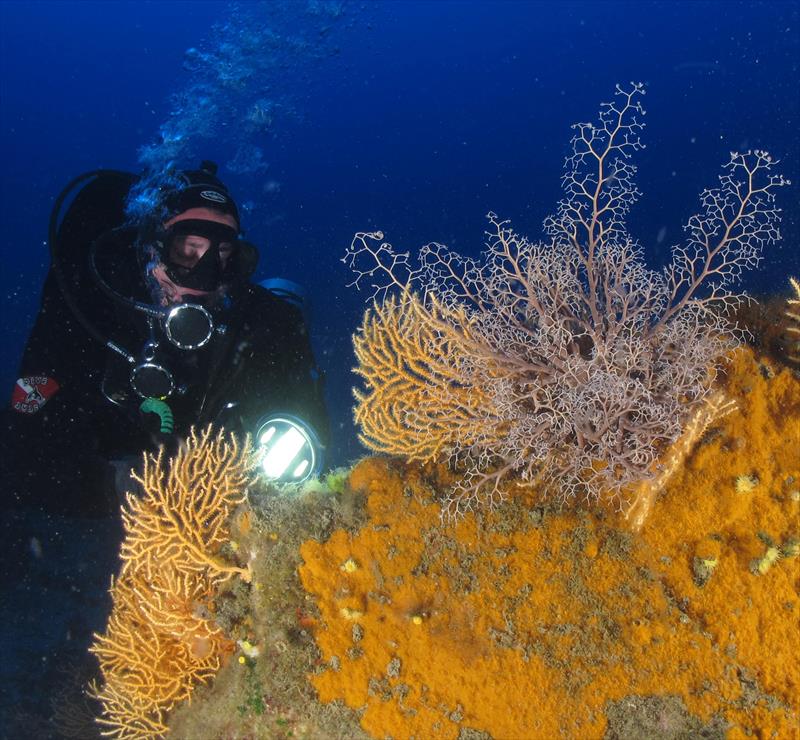 Foto Elba Diving Center - immagine 7