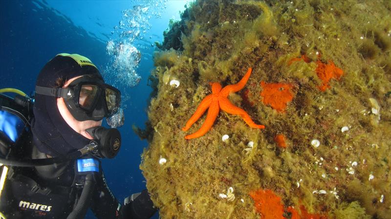 Foto Elba Diving Center - immagine 8