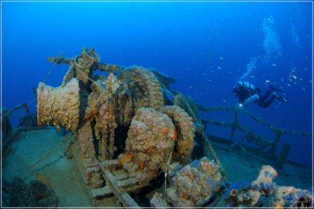Foto Elba Diving Center - immagine 10