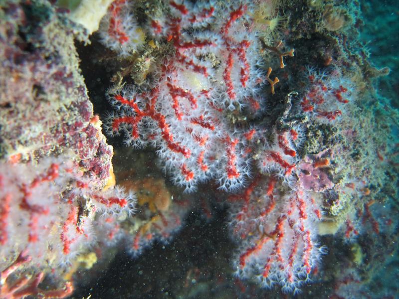 Foto 7 Perle A.S.D. - immagine 17