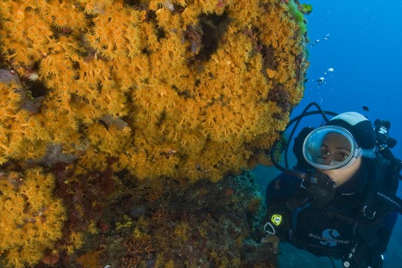 Foto Elba Diving Center - immagine 12