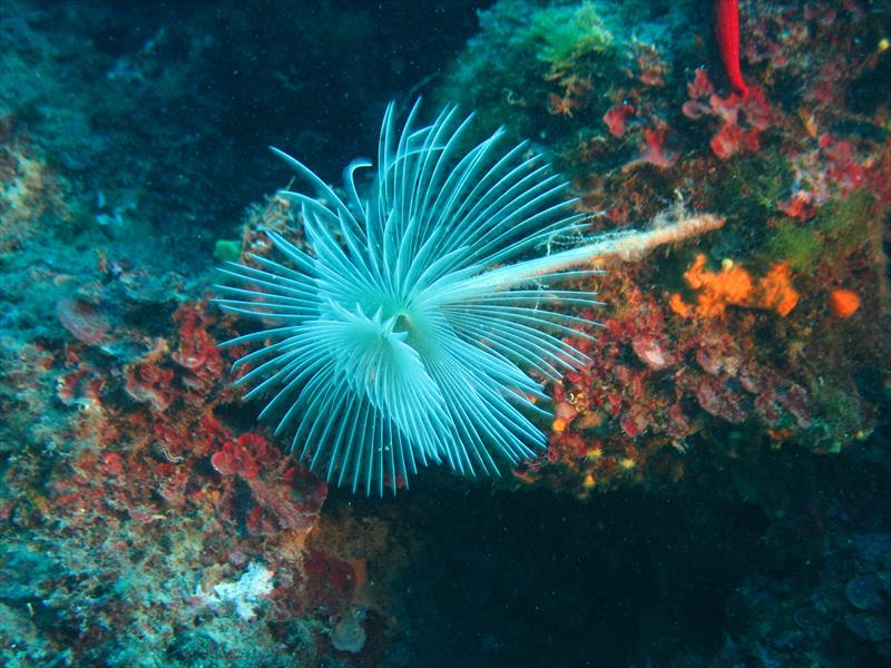 Foto 7 Perle A.S.D. - immagine 7