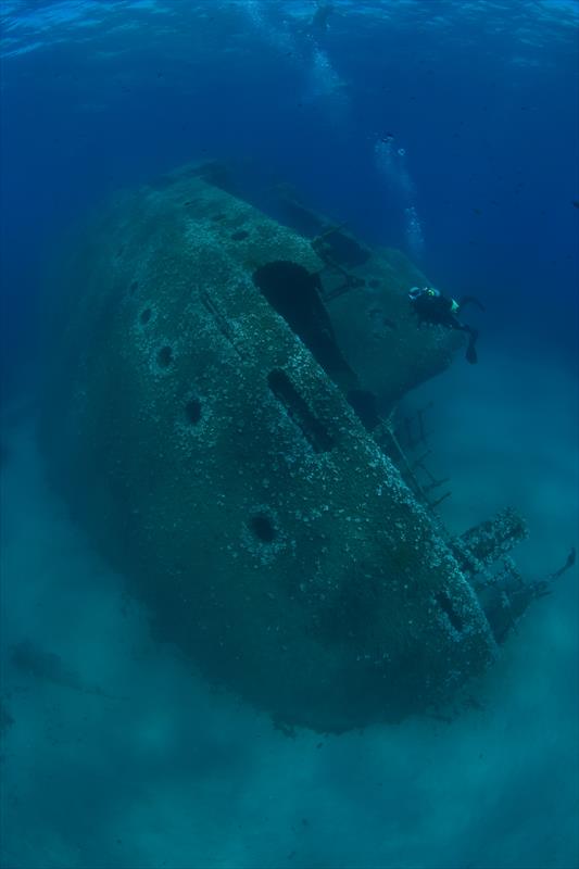 Foto Elba Diving Center - immagine 13