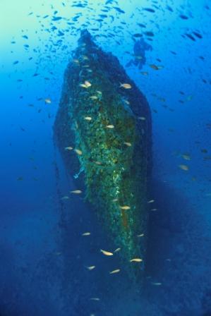 Foto Elba Diving Center - immagine 15