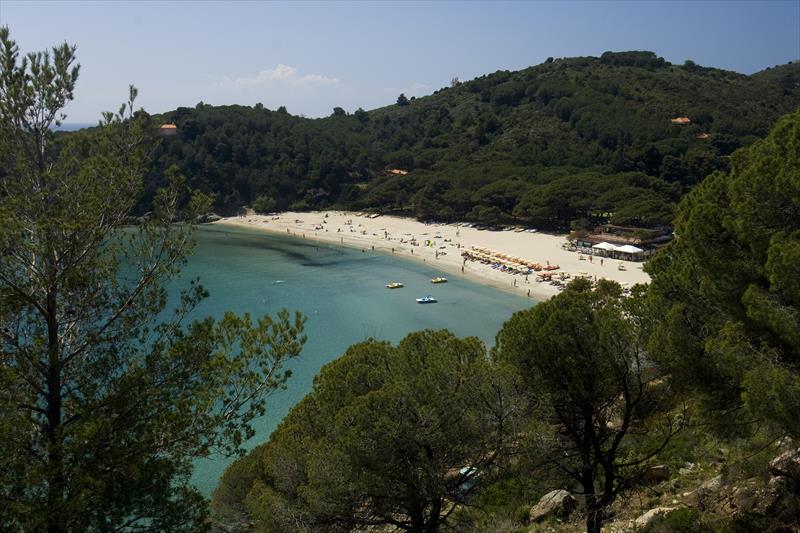 Foto Elba Diving Center - immagine 16