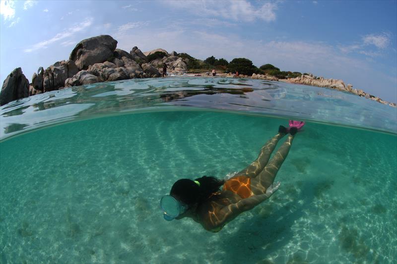Foto Elba Diving Center - immagine 17