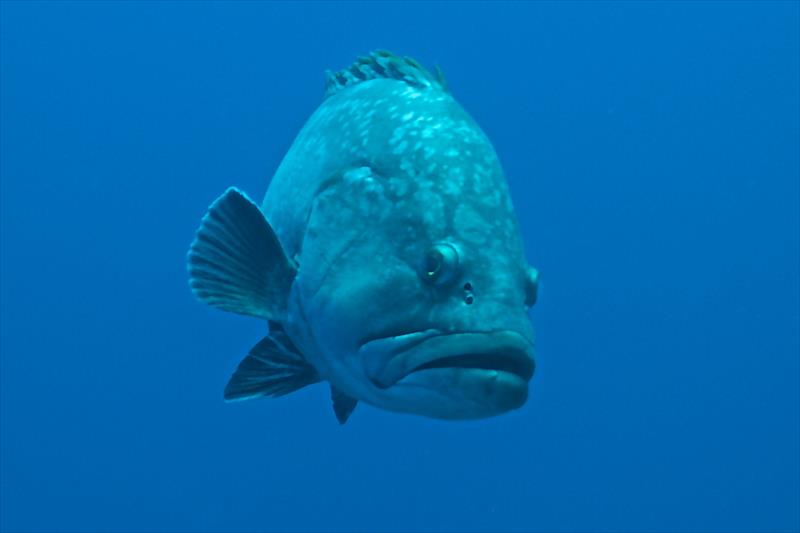 Foto Seccheto Diving Center - immagine 9