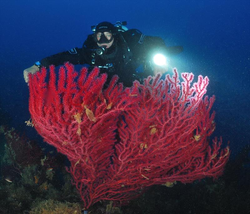 Foto Talas Diving Center - immagine 2