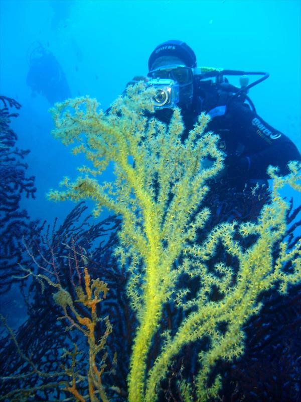 Foto Talas Diving Center - immagine 5